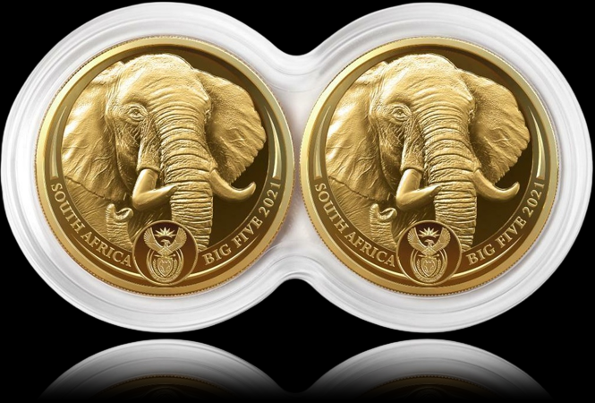 2 x ELEPHANT, Big Five Series II, 2 x 1/4 oz Gold Proof, 2021