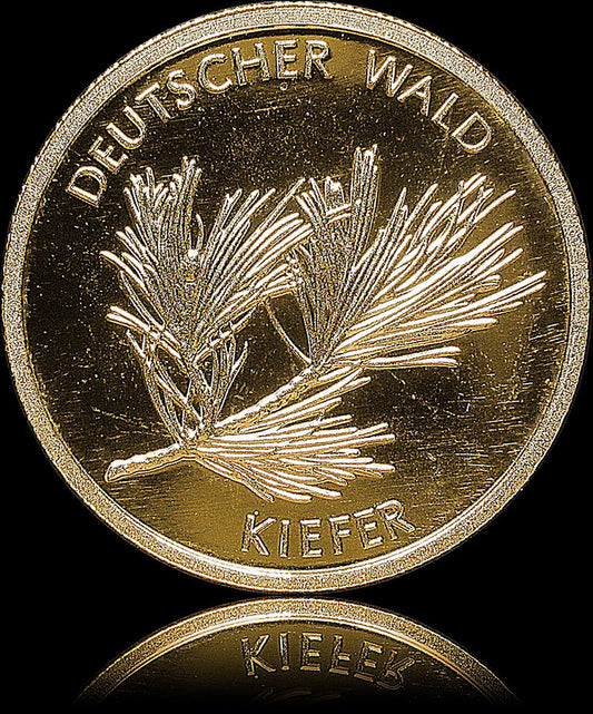 KIEFER, Serie Deutscher Wald, 1/8 oz Gold 20 Euro  -A-, 2013