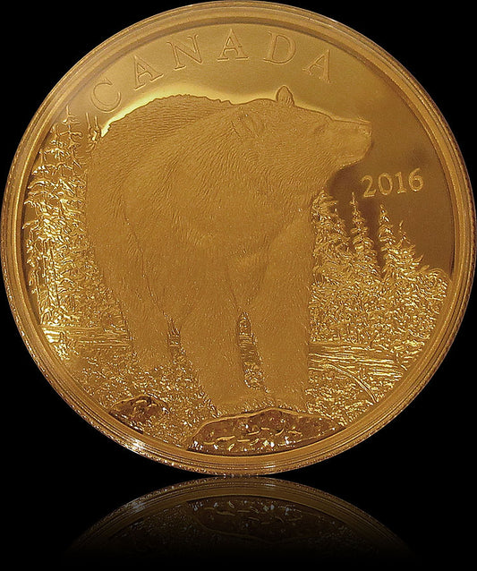 BOLD BLACK BEAR, Iconic Canadian Animals series, 1.12 oz gold $350, 2016