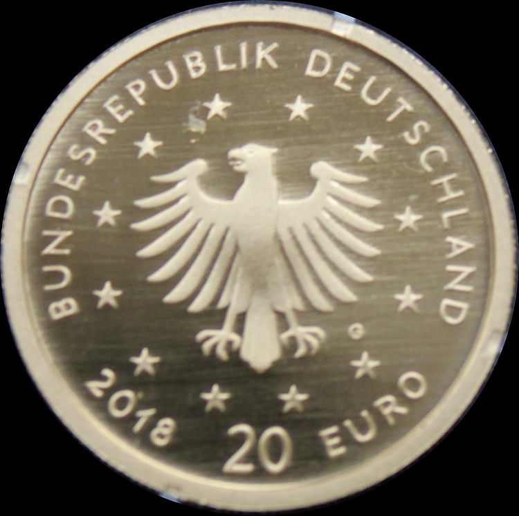 WANDERFALKE, Serie Heimische Vögel, 1/8 oz Gold 20 € -A-, 2019