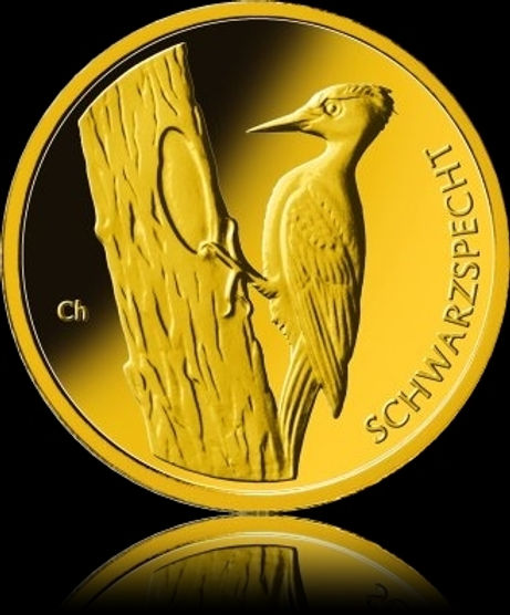 BLACK WOODPECKER Native Birds 2021 (D) 20 Euro 1/8 oz Gold -A-