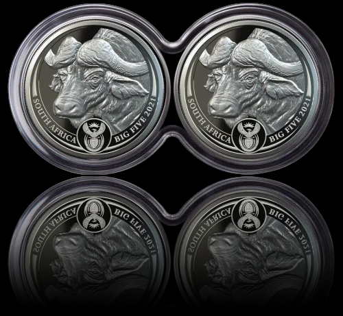 2 x BÜFFEL, Big Five Serie I, 2 x 1 oz Silver Proof, 2021