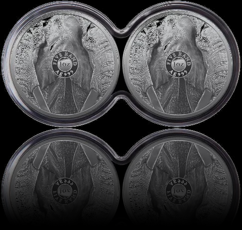 2 x ELEPHANT, Big Five Series II, 2 x 1 oz Silver Proof, 2021