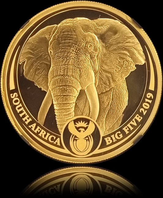 ELEFANT, Big Five Serie I, 1 oz Gold Proof NGC 70, 2019