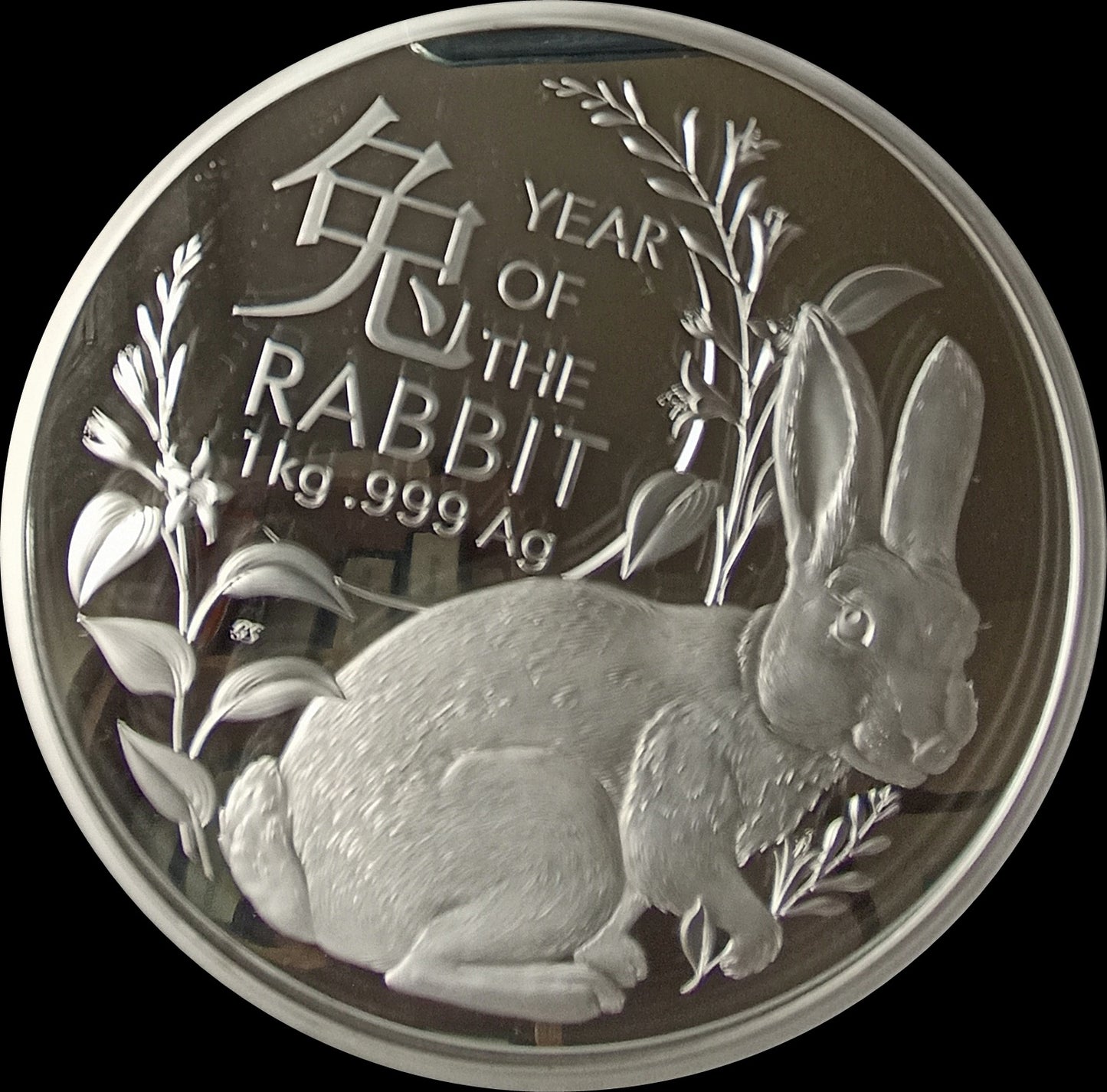 YEAR OF THE RABBIT, Serie Lunar II RAM, 1 kg Silver Proof 30$, 2023