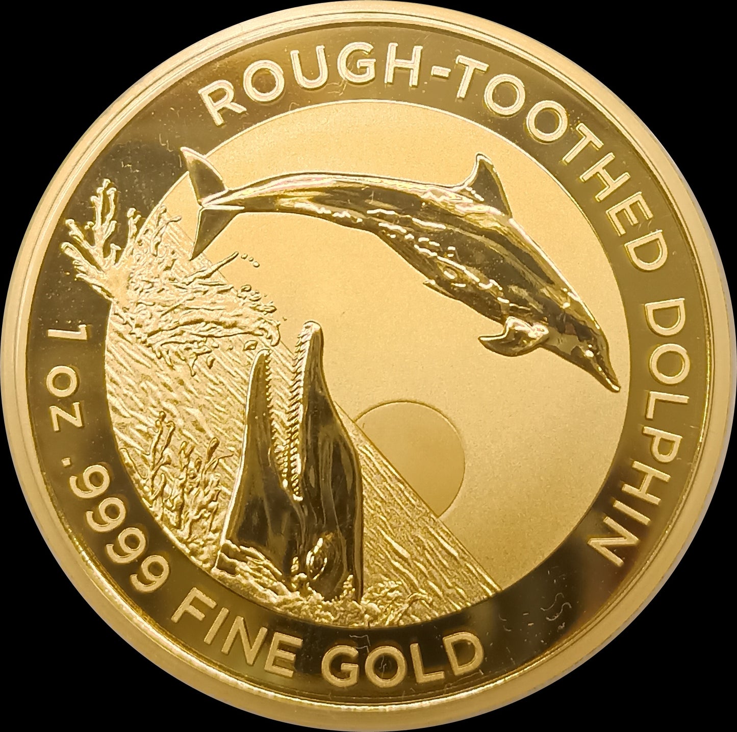 ROUGH TOOTHED DOLPHIN, Dolphin RAM series, 1 oz Gold Proof, 2023