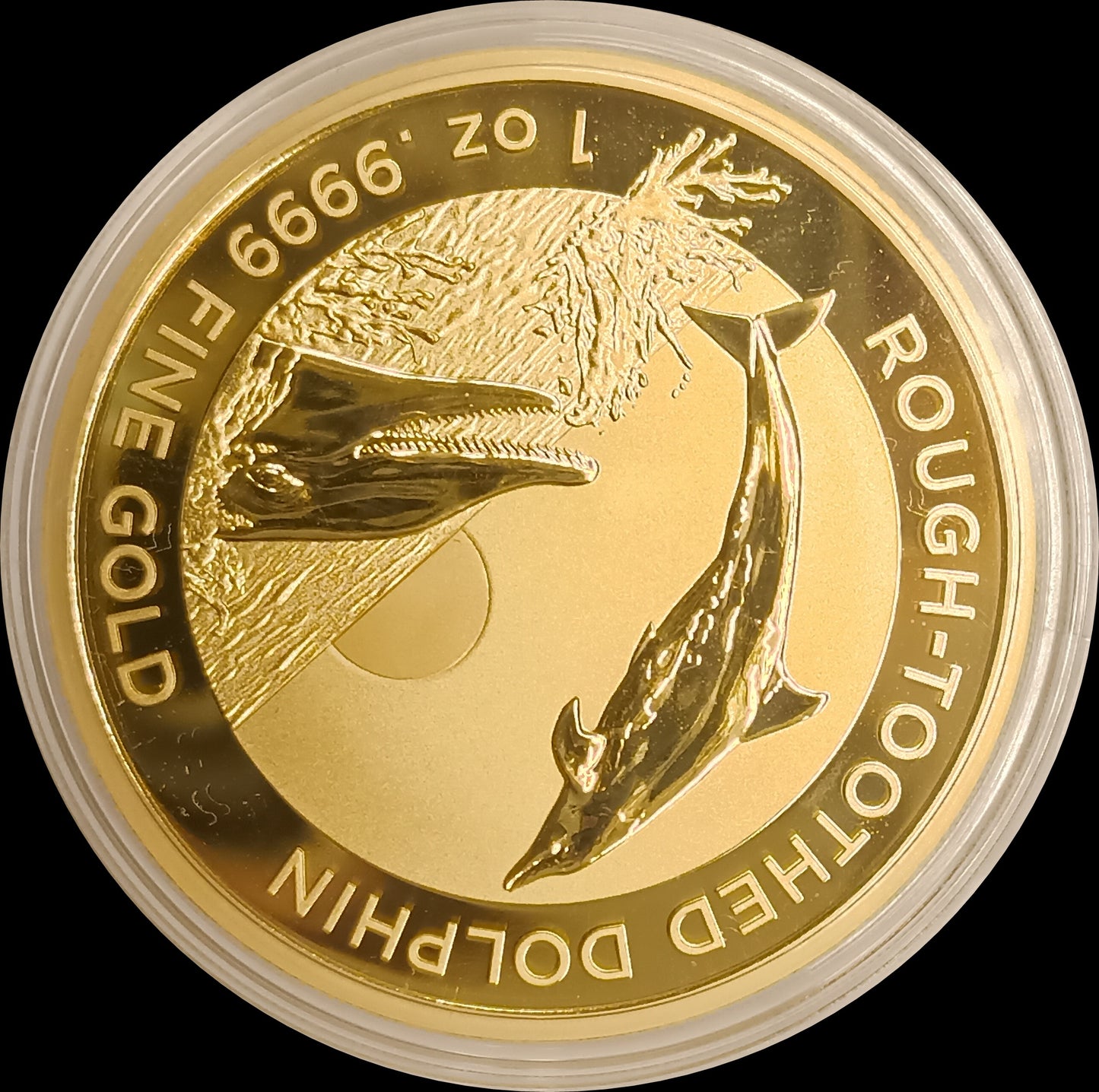 ROUGH TOOTHED DOLPHIN, Serie Dolphin RAM, 1 oz Gold Proof, 2023