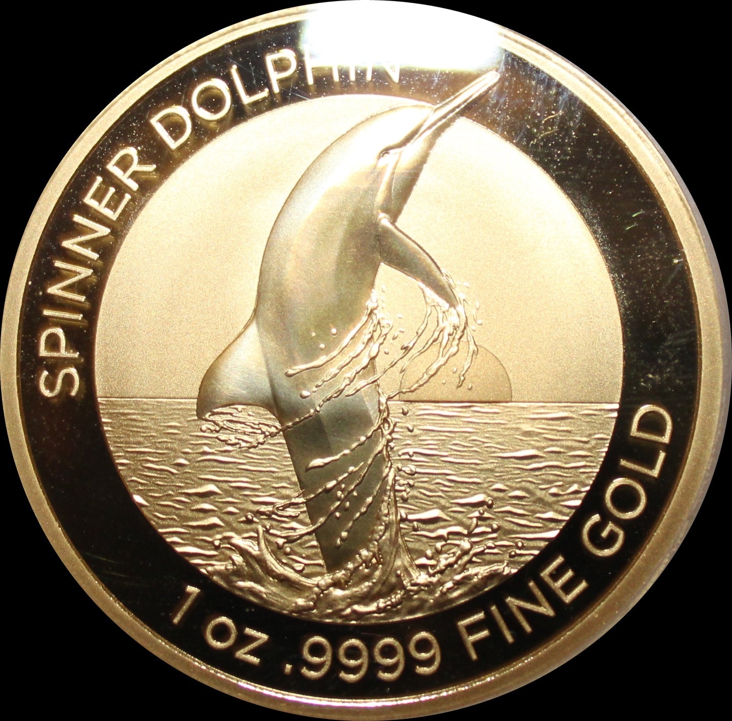 SPINNER DOLPHIN, Dolphin RAM series, 1 oz Gold Proof, 2020